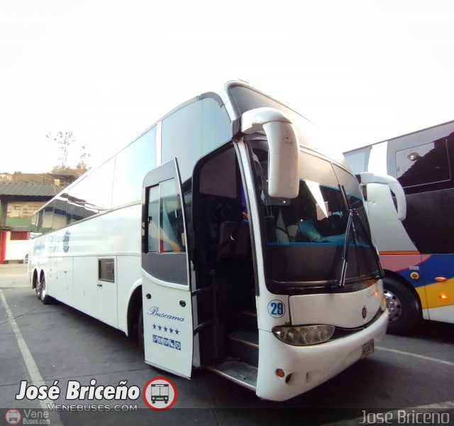 Ejecutivos Boga 29  por Jos� Brice�o