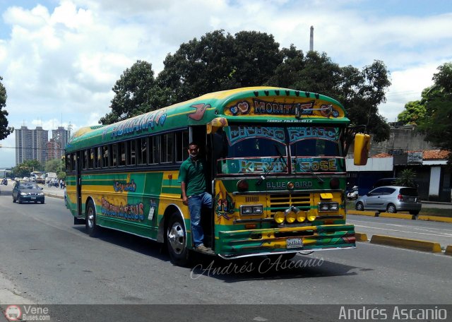 Transporte Palo Negro La Morita 2 011 por Andr�s Ascanio