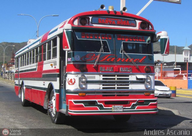 CA - Autobuses de Santa Rosa 04 por Andr�s Ascanio