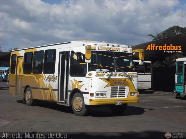 A.C. L�neas Unidas 39 por Alfredo Montes de Oca