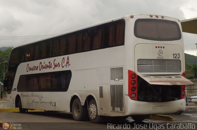 Cruceros Oriente Sur 123 por Ricardo Ugas