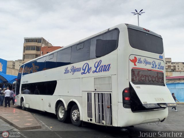 Los P�jaros de Lara 006 por Josue S�nchez