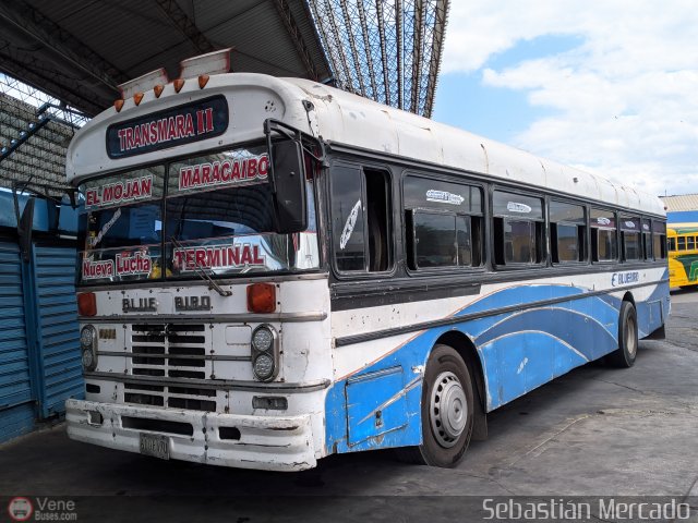 Transmara II El Moj�n 12 por Sebasti�n Mercado