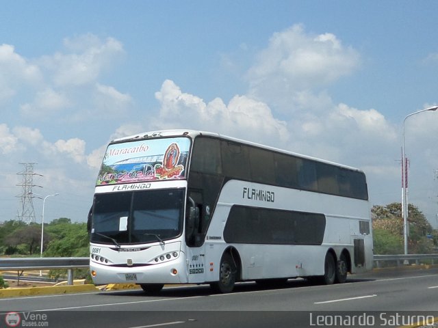Expresos Flamingo 0081 por Leonardo Saturno