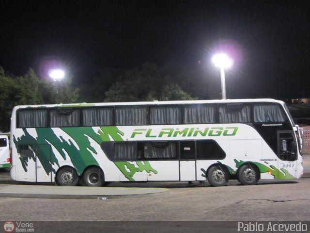 Expresos Flamingo 0097 por Pablo Acevedo