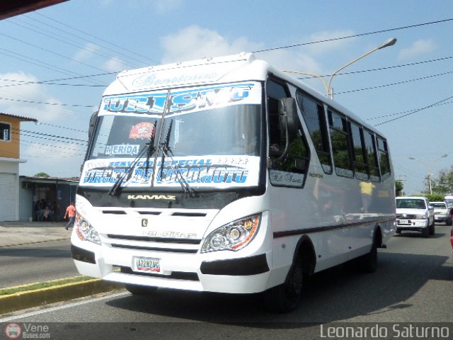 L�nea Los Andes S.C. 046 por Leonardo Saturno