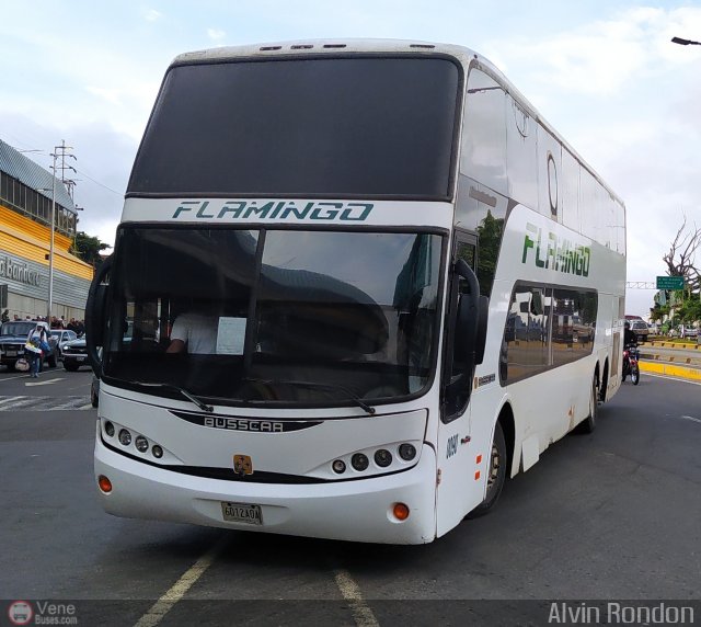 Expresos Flamingo 0090 por Alvin Rond�n