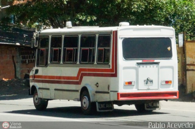 DC - Tigres de Plan de Manzano 108 por Pablo Acevedo