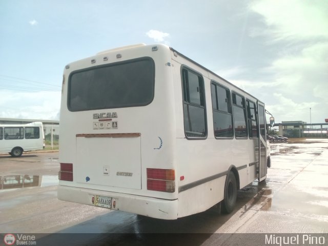 Particular o Desconocido 018 por Miguel Pino