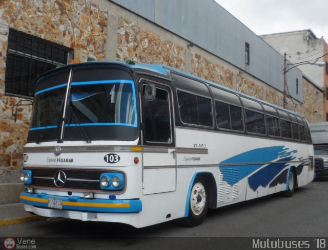 Expresos Pegamar 0103 por Waldir Mata