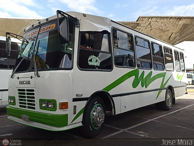 A.C. L�nea Col�n 15 por Jos� Mora