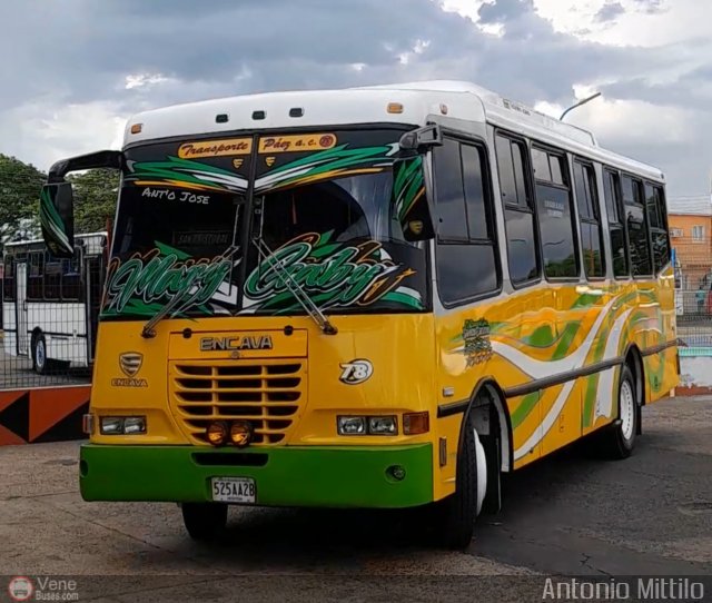 A.C. Transporte Paez 078 por Antonio Mittilo