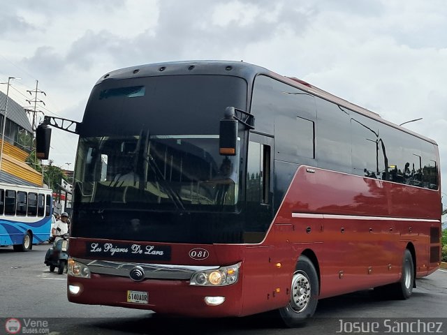 Los P�jaros de Lara 081 por Josue S�nchez