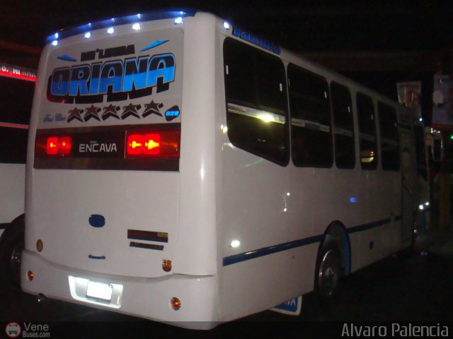 A.C. L�neas Unidas 29 por Alvaro Palencia