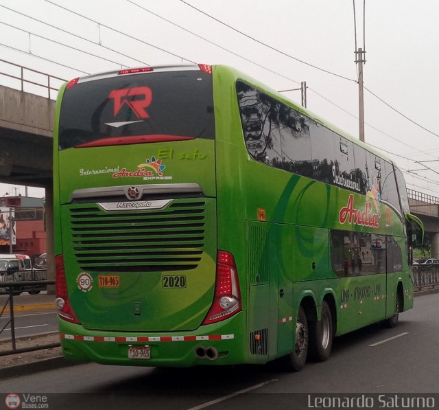 Transporte Internacional Andia 2020 por Leonardo Saturno