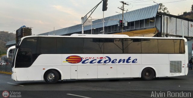 Expresos Occidente 304 por Alvin Rond�n
