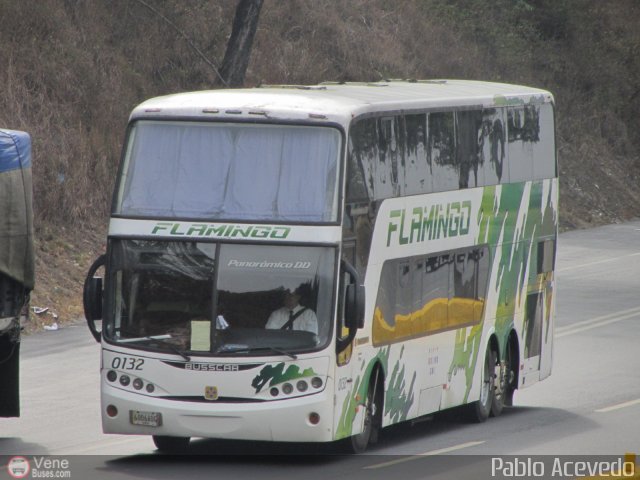 Expresos Flamingo 0132 por Pablo Acevedo