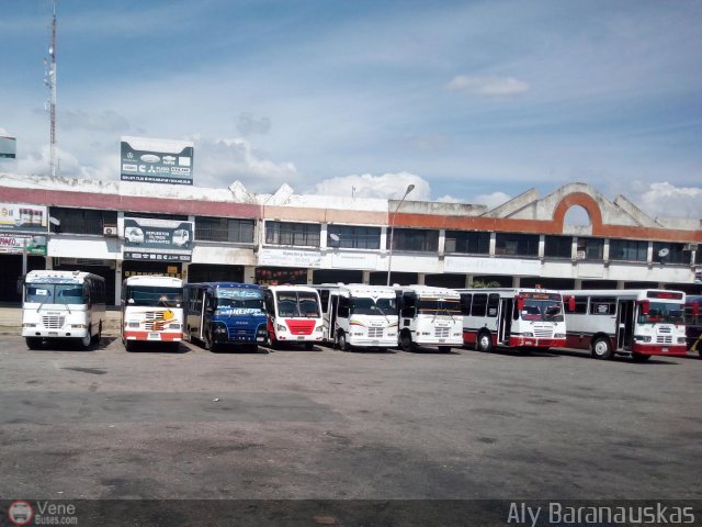 Garajes Paradas y Terminales San-Diego por Aly Baranauskas