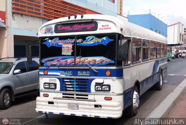CA - Transporte Ma�ongo 21 por Aly Baranauskas