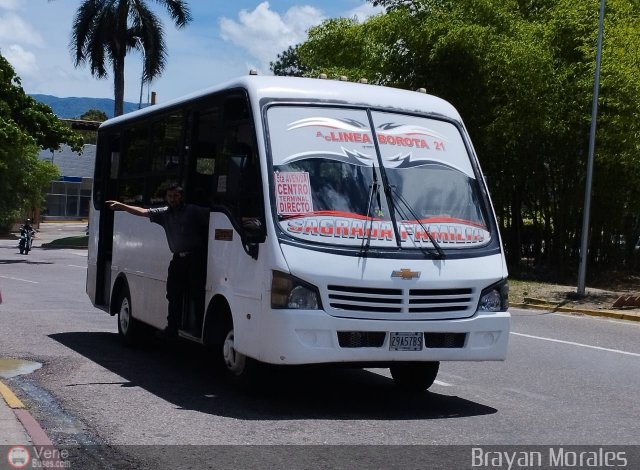 TA - A.C. L�nea Borota 21 por Jerson Nova