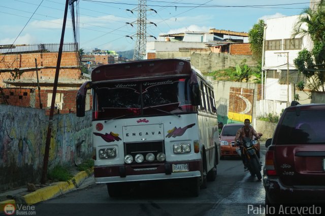 Uni�n Venezuela 25 por Pablo Acevedo