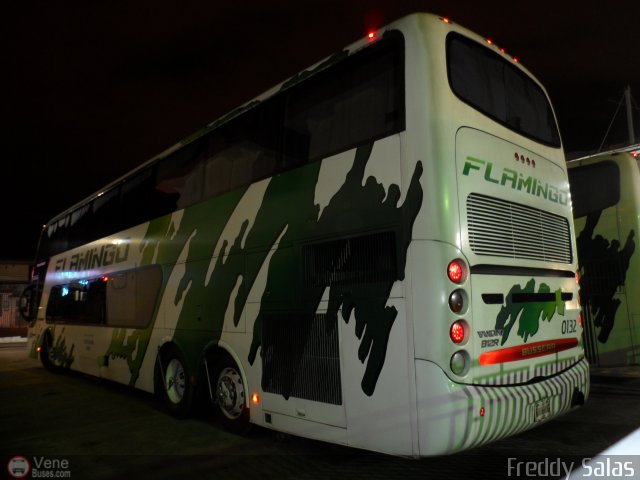 Expresos Flamingo 0132 por Freddy Salas