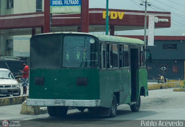 Particular o Desconocido 15 por Pablo Acevedo