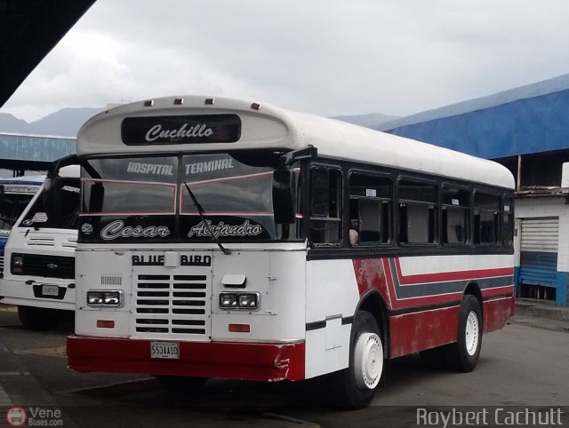 AR - U.C. Hospital - Terminal 52 por Roybert Cachutt