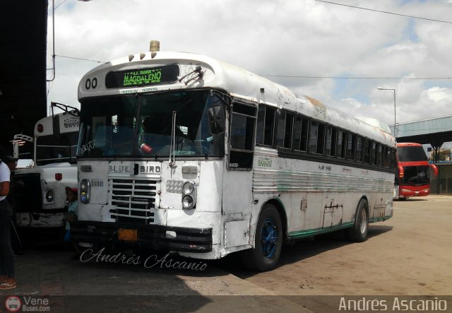 A.C. Trans Magdaleno 2016 004 por Andr�s Ascanio