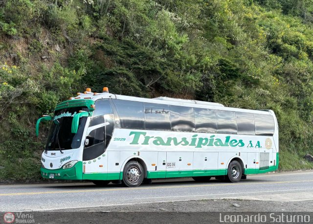 Transipiales S.A. 2029 por Leonardo Saturno