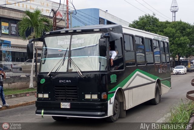 Transporte Virgen del Carmen 29 por Aly Baranauskas
