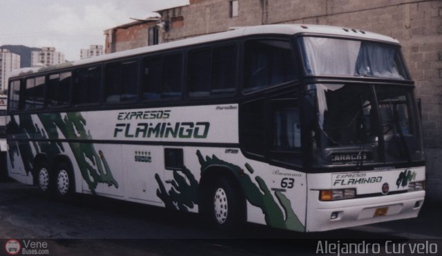 Expresos Flamingo 63 por Alejandro Curvelo