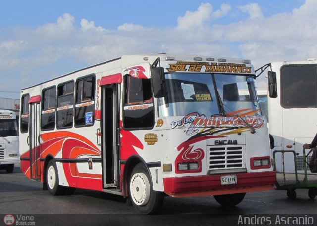 A.C. de Transporte Sol de Tamanaco 04 por Andr�s Ascanio