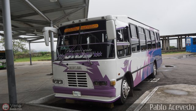 A.C. L�nea Mariscal 19 por Pablo Acevedo