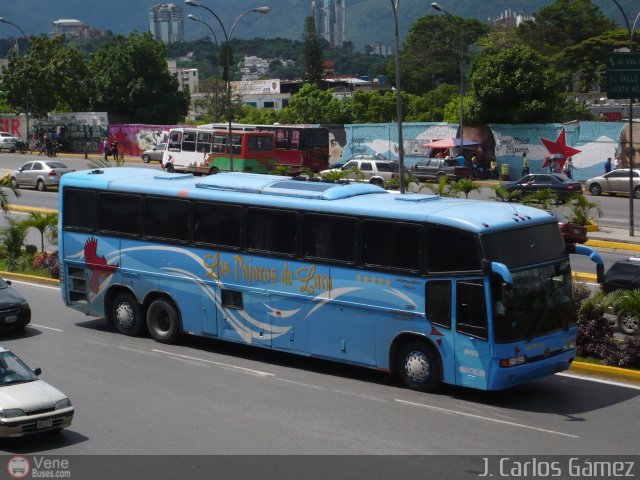 Los P�jaros de Lara 005 por J. Carlos G�mez