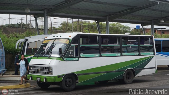 A.C. L�nea Mariscal 09 por Pablo Acevedo