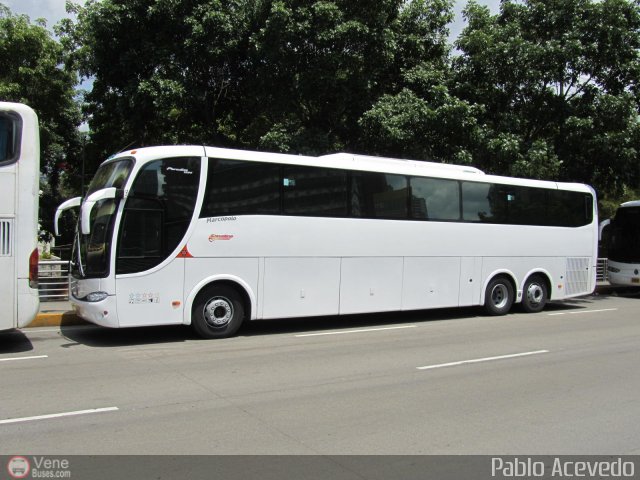 Transporte Clavellino 029 por Pablo Acevedo