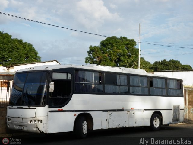 Particular o Desconocido 105 por Aly Baranauskas