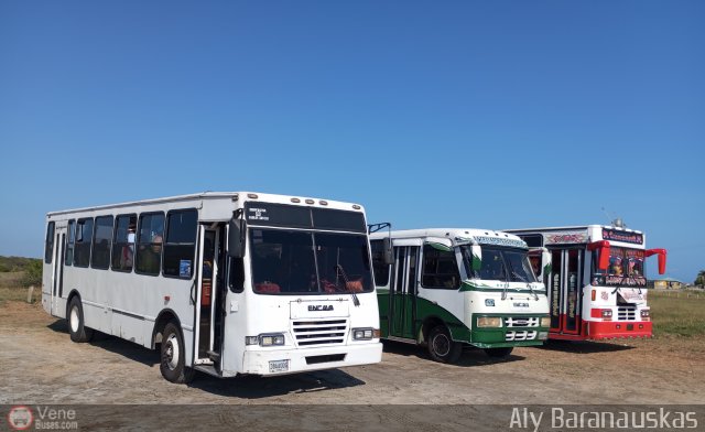 Garajes Paradas y Terminales Puerto-Cabello por Aly Baranauskas