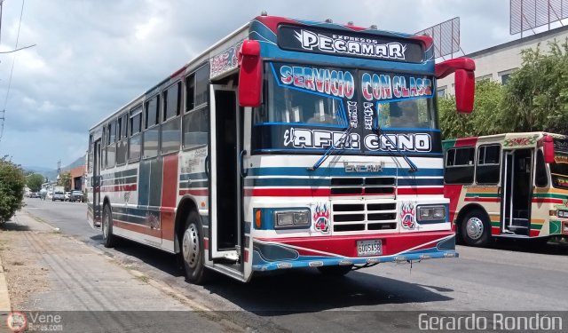 Expresos Pegamar 0004 por Gerardo Rond�n