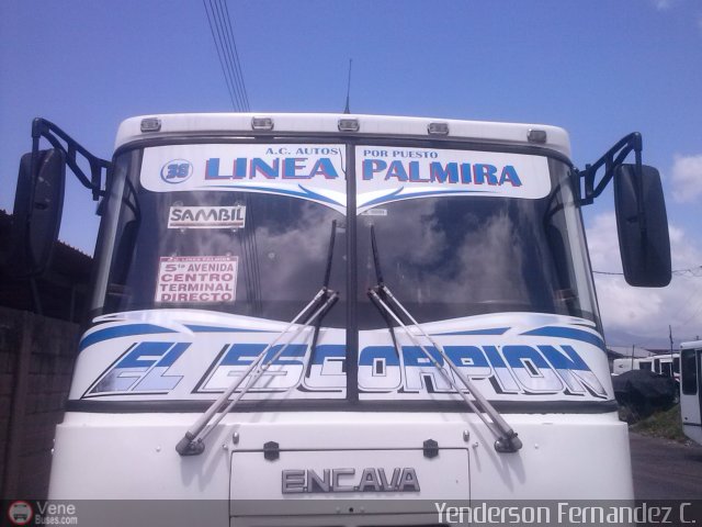 TA - A.C. Autos por puesto L�nea Palmira 038 por Yenderson Cepeda