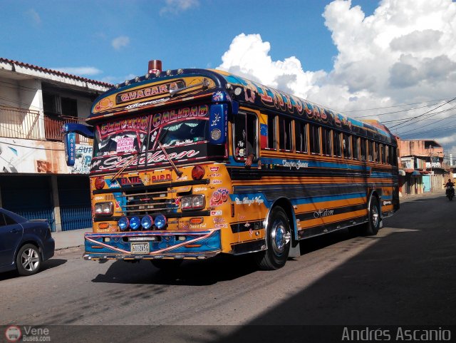 Transporte Guacara 0096 por Andrs Ascanio