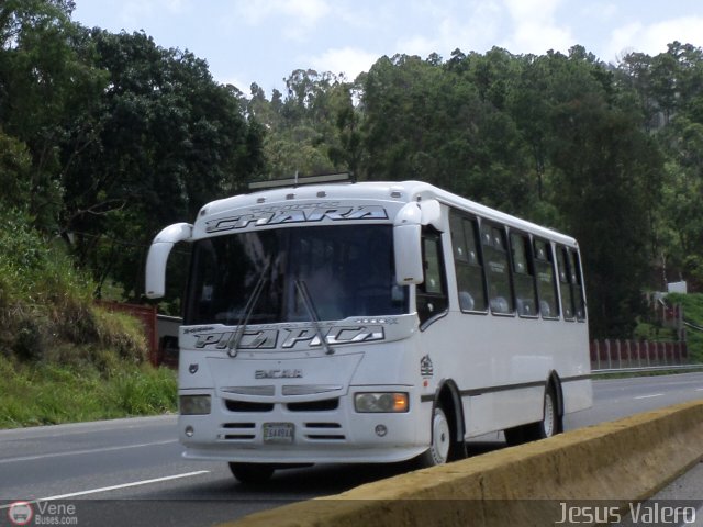 Uni�n Chara A.C. 006 por Jes�s Valero