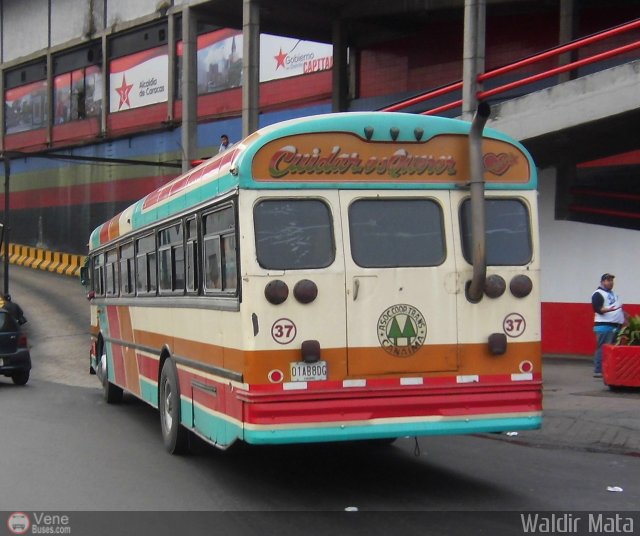 Cooperativa Canaima 37 por Waldir Mata