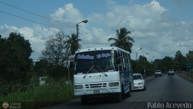 Colectivos El Vig�a 33 por Pablo Acevedo