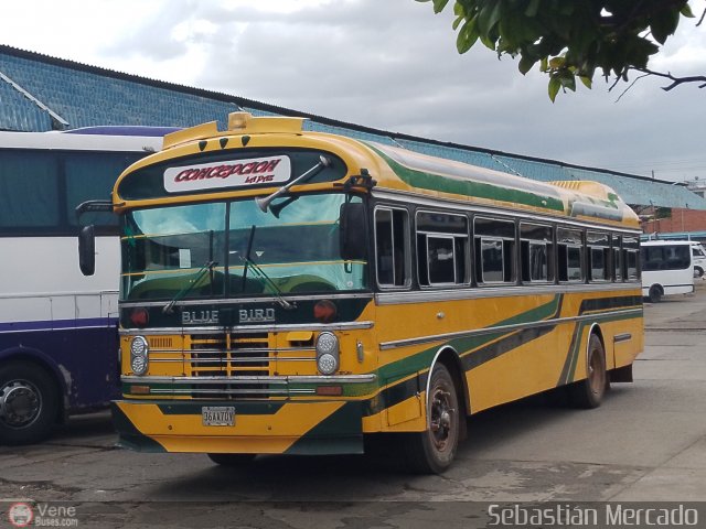 ZU - Colectivos Concepcin 070 por Sebastin Mercado