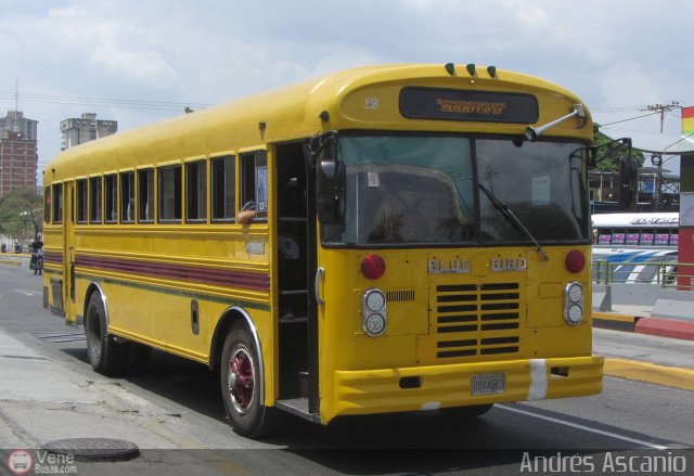 Transporte Palo Negro La Morita 2 020 por Andr�s Ascanio