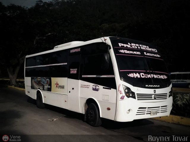 A.C. Unin Palo Negro 048 por Royner Tovar