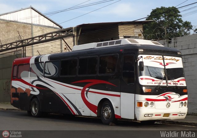 Particular o Desconocido 1023 por Waldir Mata