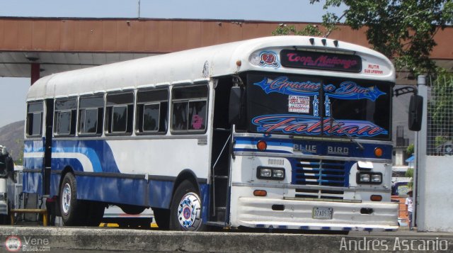 CA - Cooperativa Ma�ongo 21 por Andr�s Ascanio